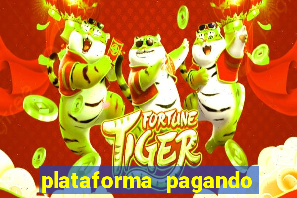 plataforma pagando no cadastro tigre